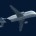 A300B ‘super Transporter ’ #3 
On route from Chester to Hamburg